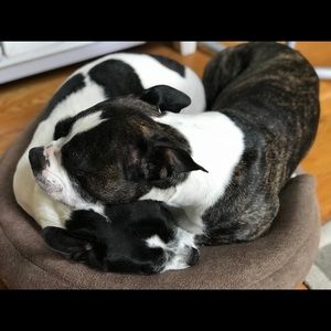 Meet your Posher, Karen